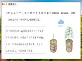 2024-2025學(xué)年人教版生物七年級下冊 3.2.2 光合作用 課件