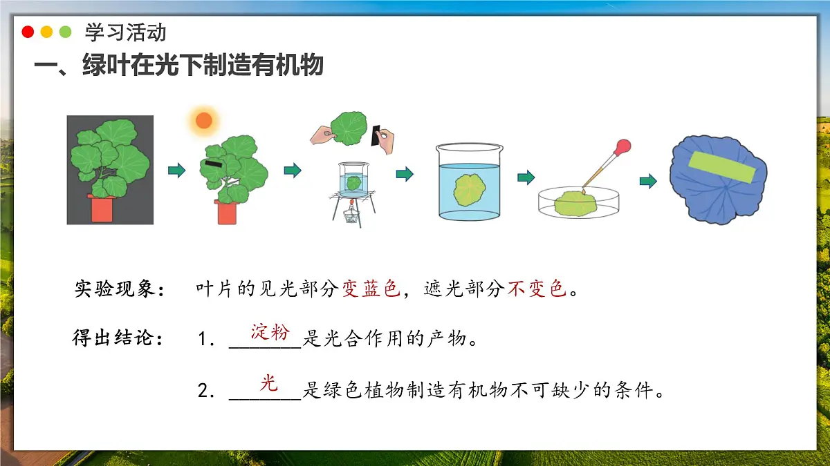 2024-2025学年人教版生物七年级下册 3.2.2 光合作用 课件第5页