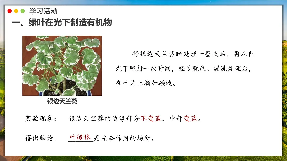 2024-2025学年人教版生物七年级下册 3.2.2 光合作用 课件第6页