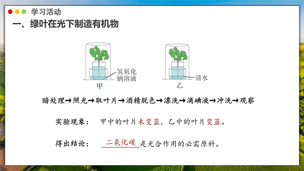 2024-2025学年人教版生物七年级下册 3.2.2 光合作用 课件第7页
