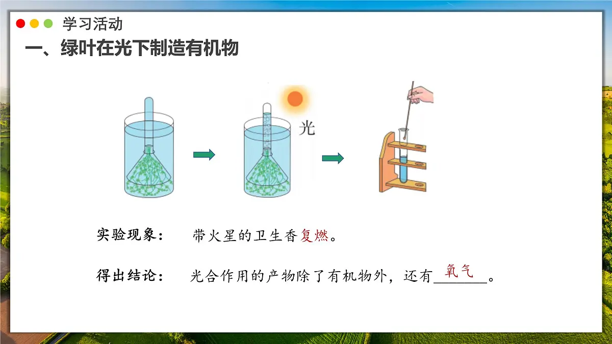 2024-2025学年人教版生物七年级下册 3.2.2 光合作用 课件第8页