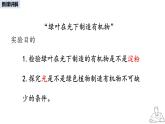 2024-2025學(xué)年人教版生物七年級下冊 3.2.2 光合作用課件
