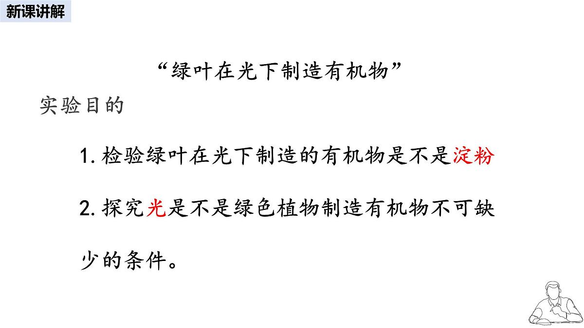 2024-2025学年人教版生物七年级下册 3.2.2 光合作用课件第4页