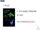2024-2025學(xué)年人教版生物七年級下冊 3.2.2 光合作用課件