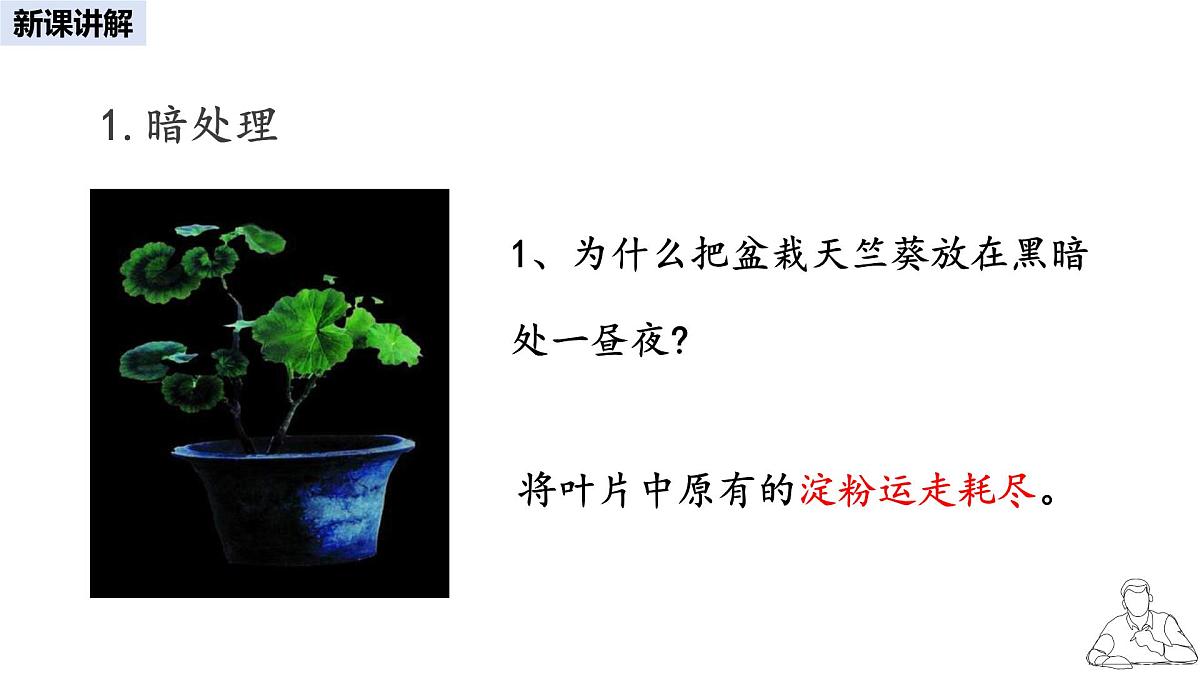 2024-2025学年人教版生物七年级下册 3.2.2 光合作用课件第5页