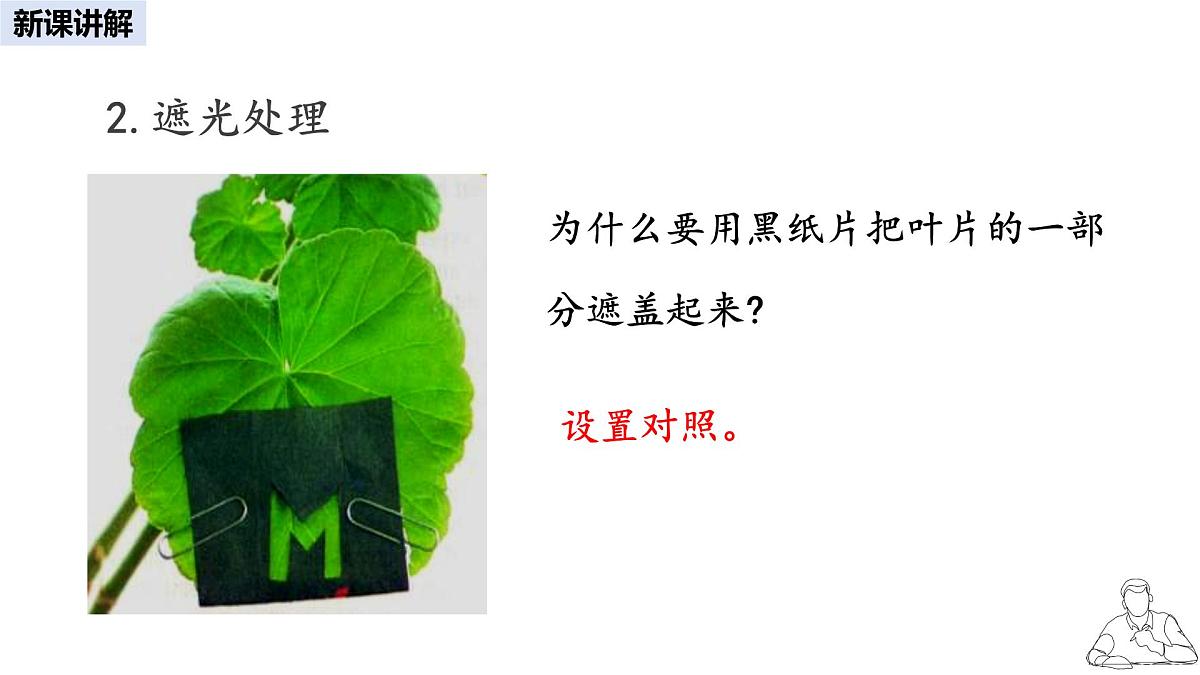 2024-2025学年人教版生物七年级下册 3.2.2 光合作用课件第6页