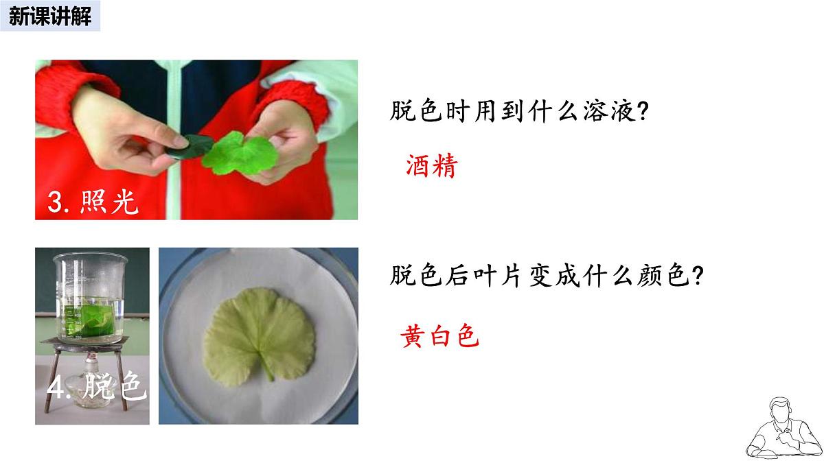 2024-2025学年人教版生物七年级下册 3.2.2 光合作用课件第7页