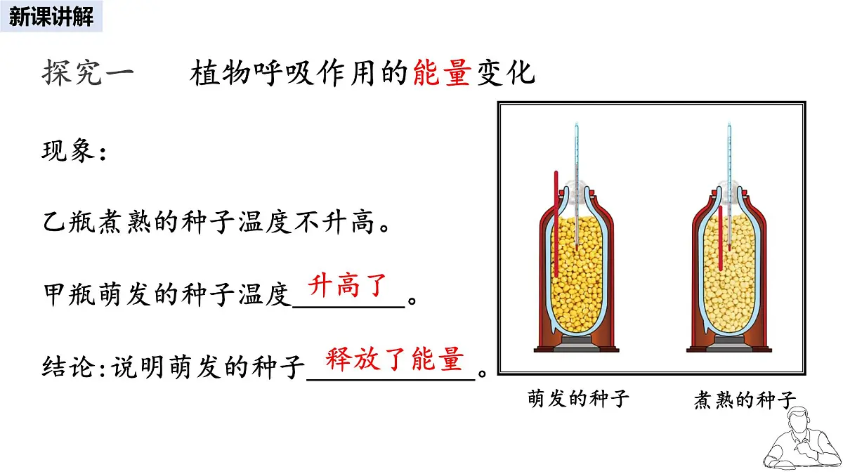 2024-2025学年人教版生物七年级下册 3.2.3 呼吸作用 课件(1)第4页
