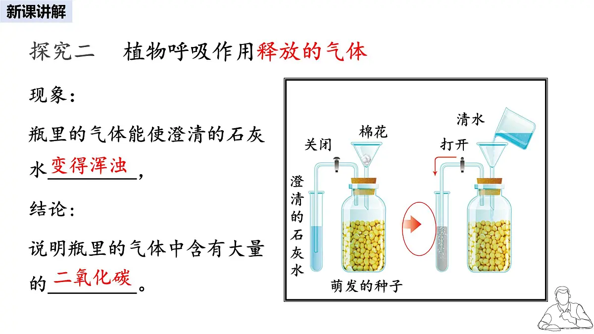 2024-2025学年人教版生物七年级下册 3.2.3 呼吸作用 课件(1)第5页