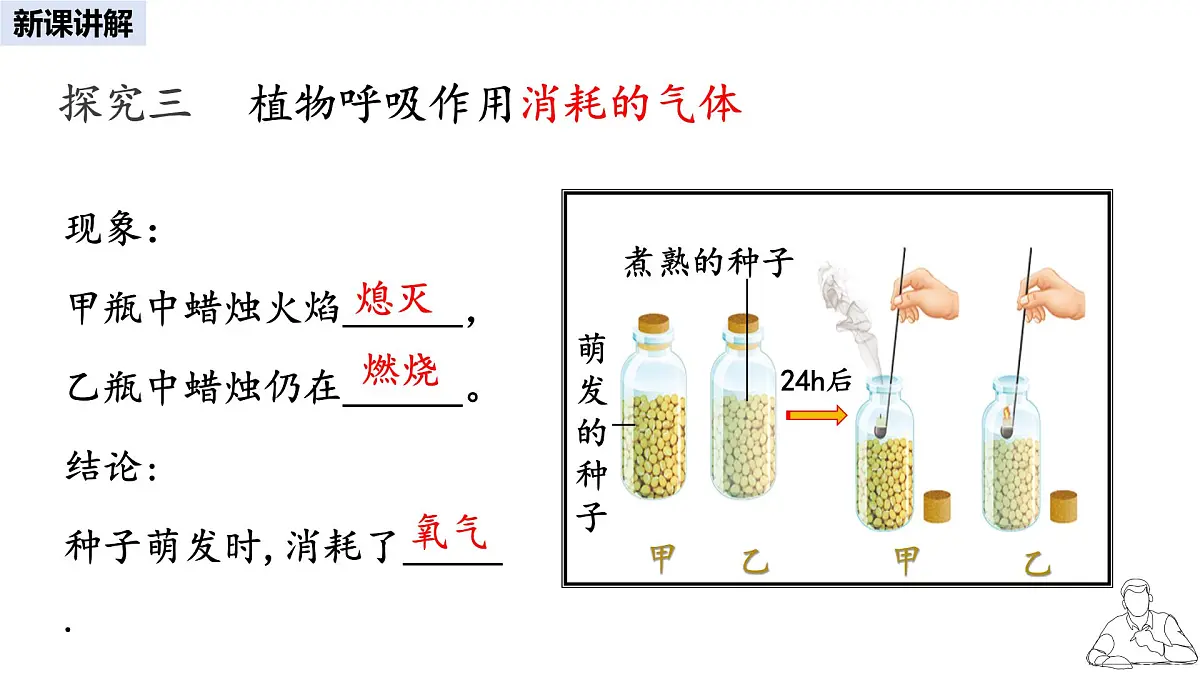 2024-2025学年人教版生物七年级下册 3.2.3 呼吸作用 课件(1)第6页