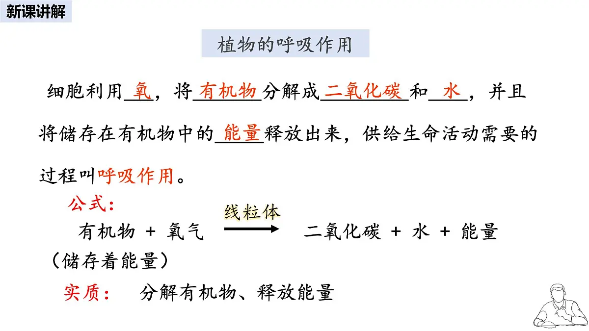 2024-2025学年人教版生物七年级下册 3.2.3 呼吸作用 课件(1)第7页