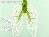 2024-2025學(xué)年人教版生物七年級下冊 3.2.3 呼吸作用 課件
