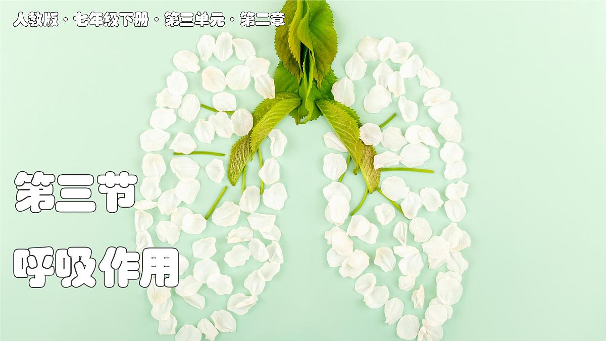 2024-2025学年人教版生物七年级下册 3.2.3 呼吸作用 课件第1页