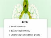 2024-2025學(xué)年人教版生物七年級下冊 3.2.3 呼吸作用 課件