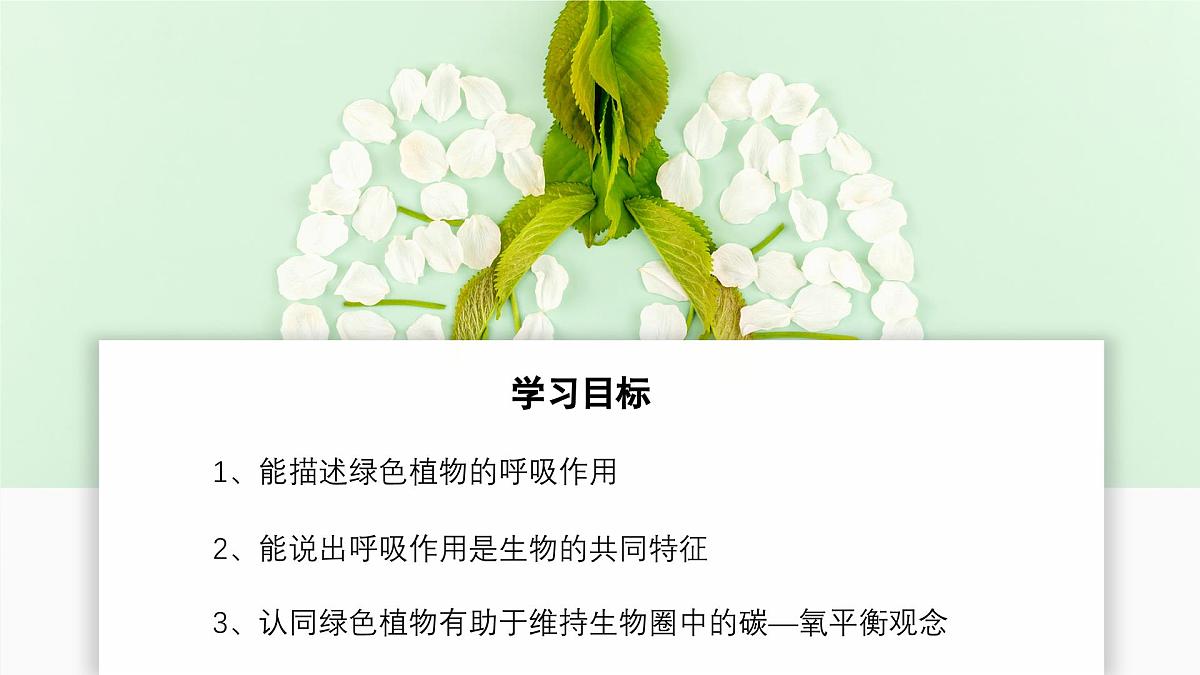 2024-2025学年人教版生物七年级下册 3.2.3 呼吸作用 课件第2页