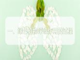 2024-2025學(xué)年人教版生物七年級下冊 3.2.3 呼吸作用 課件