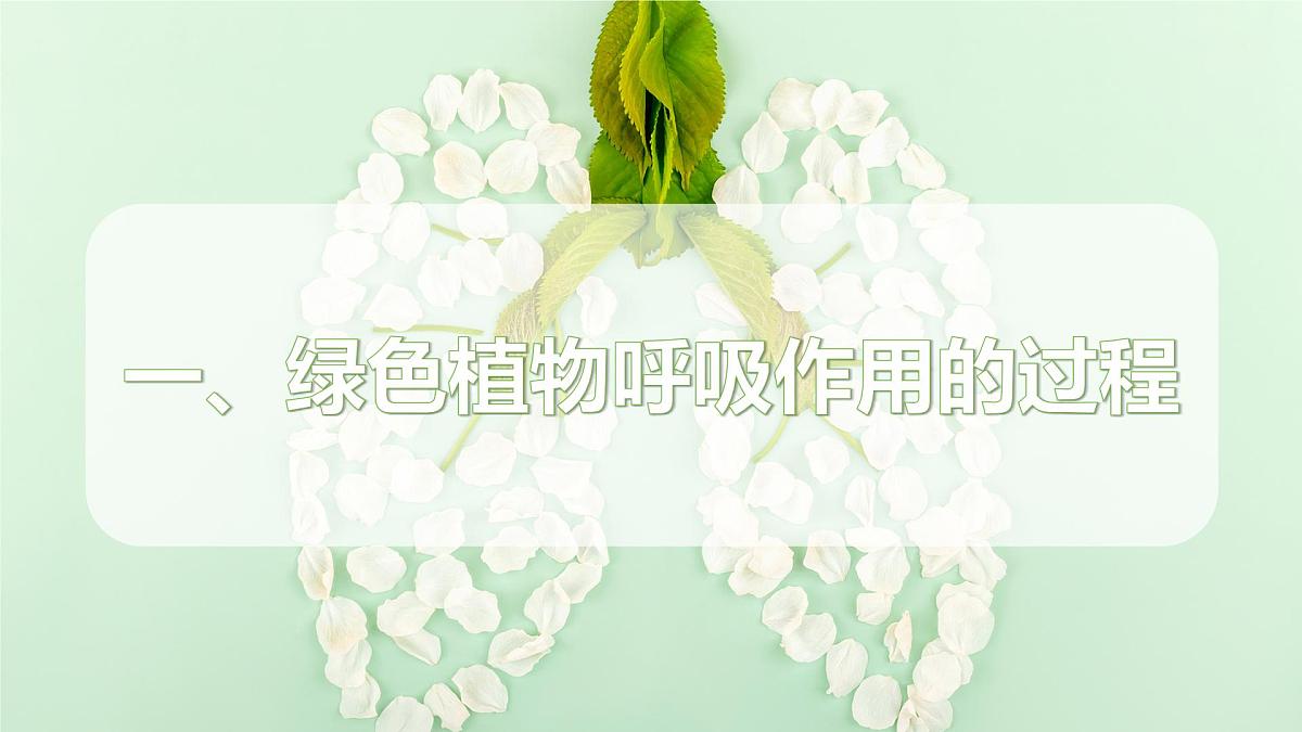 2024-2025学年人教版生物七年级下册 3.2.3 呼吸作用 课件第4页