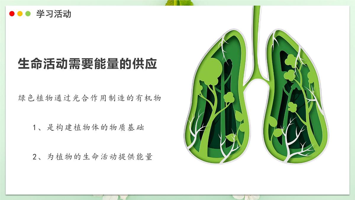 2024-2025学年人教版生物七年级下册 3.2.3 呼吸作用 课件第5页