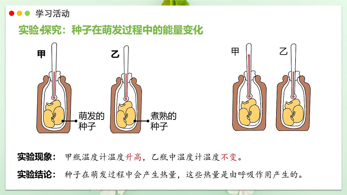 2024-2025学年人教版生物七年级下册 3.2.3 呼吸作用 课件第6页