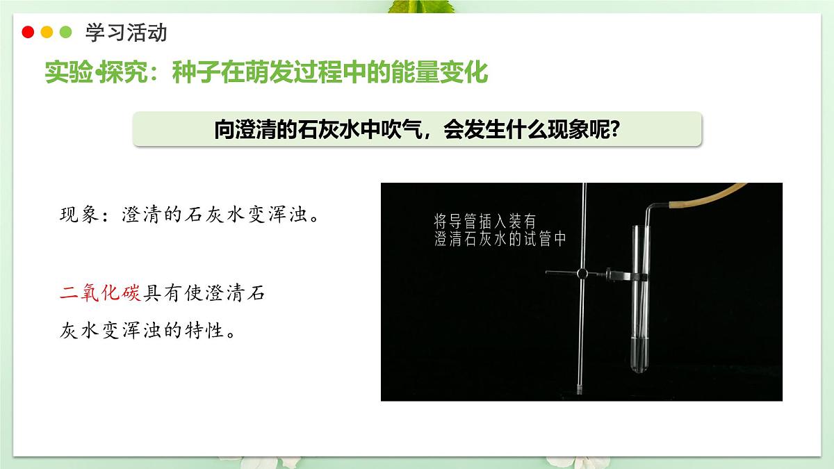 2024-2025学年人教版生物七年级下册 3.2.3 呼吸作用 课件第7页