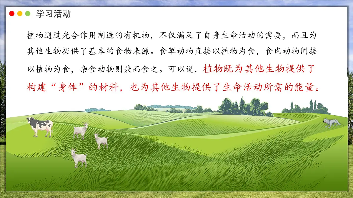 2024-2025学年人教版生物七年级下册 3.2.4 植物在自然界中的作用 课件第5页
