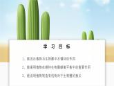 2024-2025學(xué)年人教版生物七年級下冊 3.2.4 植物在自然界中的作用 課件