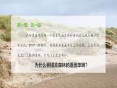 2024-2025學(xué)年人教版生物七年級下冊 3.2.4 植物在自然界中的作用 課件