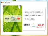 2024-2025學(xué)年人教版生物七年級下冊 3.2.4 植物在自然界中的作用 課件