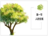 2024-2025學(xué)年人教版生物七年級下冊 4.1.1 人的生殖 課件 課件