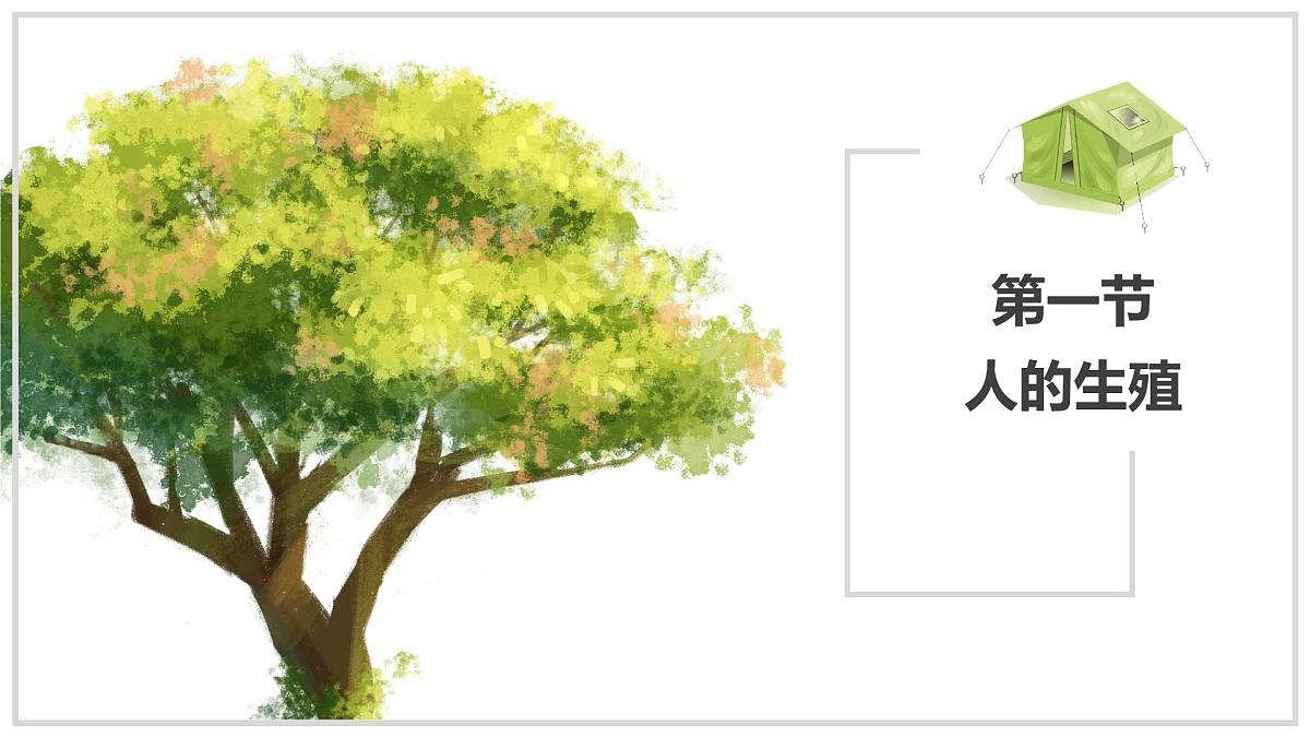 2024-2025学年人教版生物七年级下册 4.1.1 人的生殖 课件 课件第1页