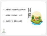 2024-2025學(xué)年人教版生物七年級下冊 4.1.1 人的生殖 課件 課件