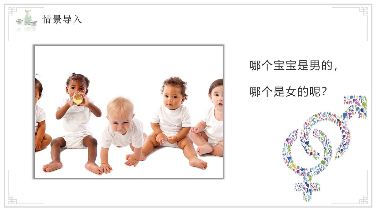 2024-2025学年人教版生物七年级下册 4.1.1 人的生殖 课件 课件第3页
