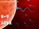 2024-2025學(xué)年人教版生物七年級下冊 4.1.1 人的生殖 課件