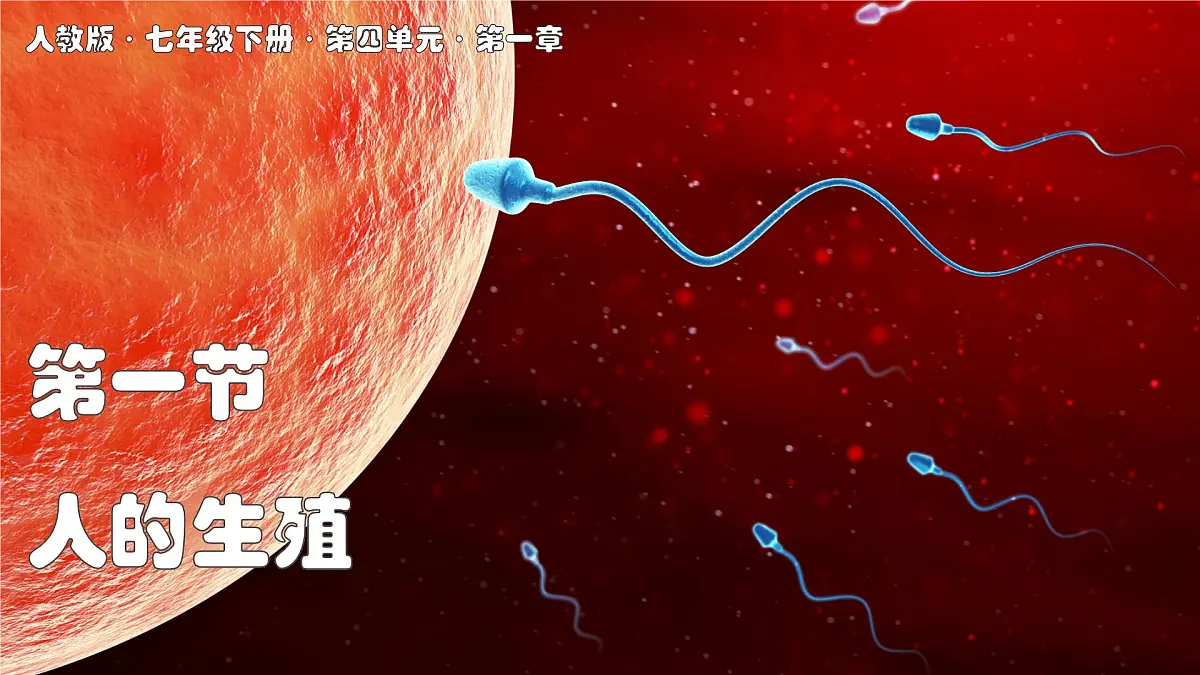 2024-2025学年人教版生物七年级下册 4.1.1 人的生殖 课件第1页