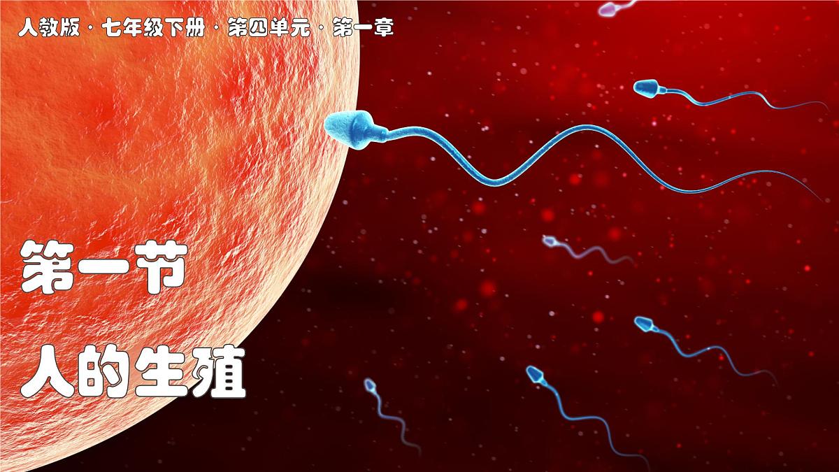 2024-2025学年人教版生物七年级下册 4.1.1 人的生殖 课件第1页