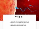 2024-2025學(xué)年人教版生物七年級下冊 4.1.1 人的生殖 課件