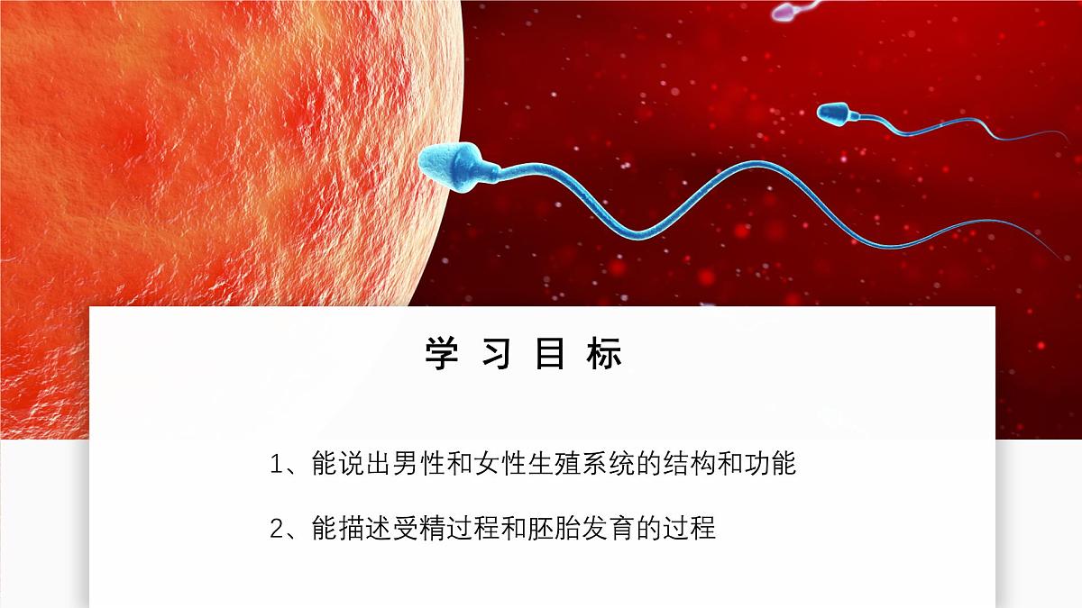 2024-2025学年人教版生物七年级下册 4.1.1 人的生殖 课件第2页