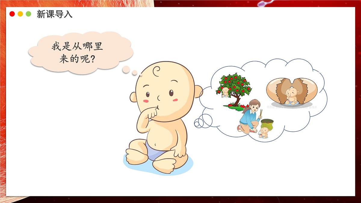 2024-2025学年人教版生物七年级下册 4.1.1 人的生殖 课件第3页