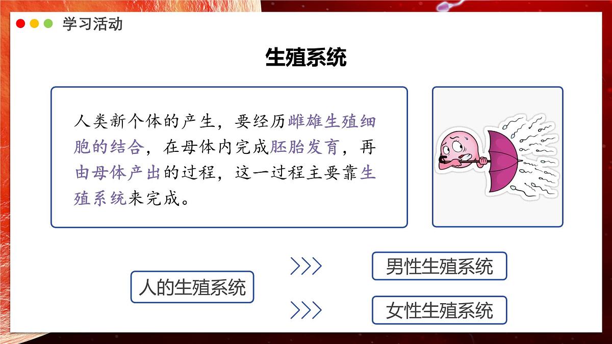 2024-2025学年人教版生物七年级下册 4.1.1 人的生殖 课件第4页