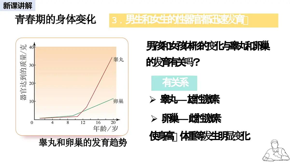 2024-2025学年人教版生物七年级下册 4.1.2 青春期 (2) 课件第5页