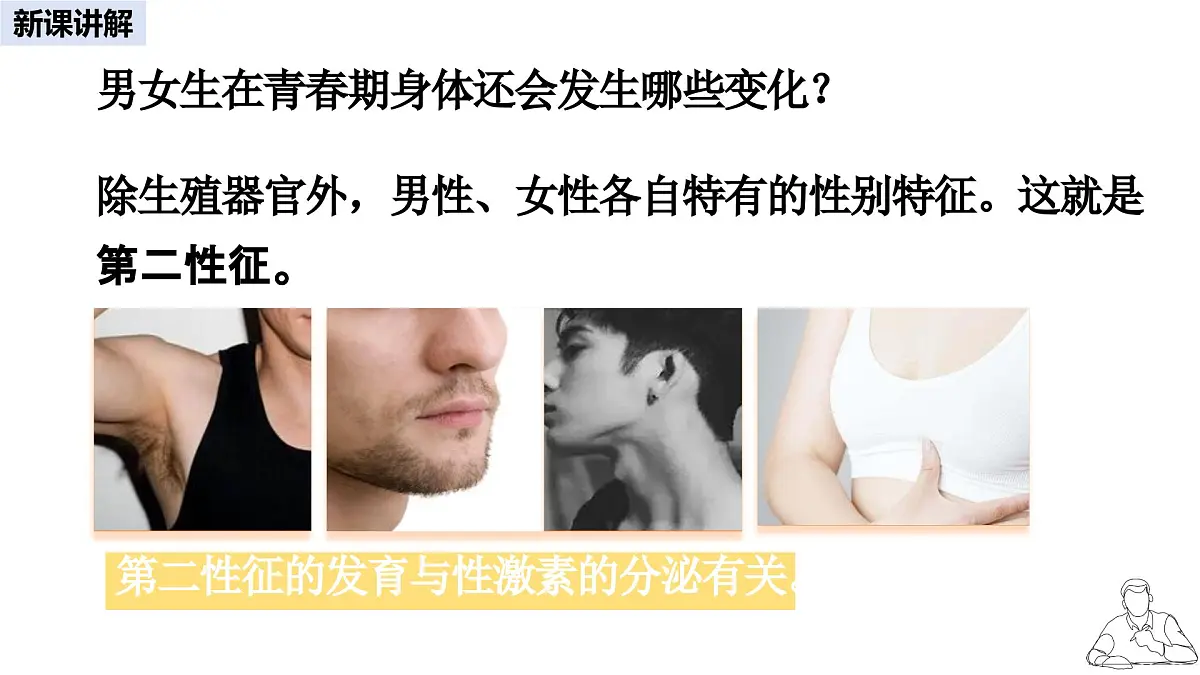 2024-2025学年人教版生物七年级下册 4.1.2 青春期 (2) 课件第6页