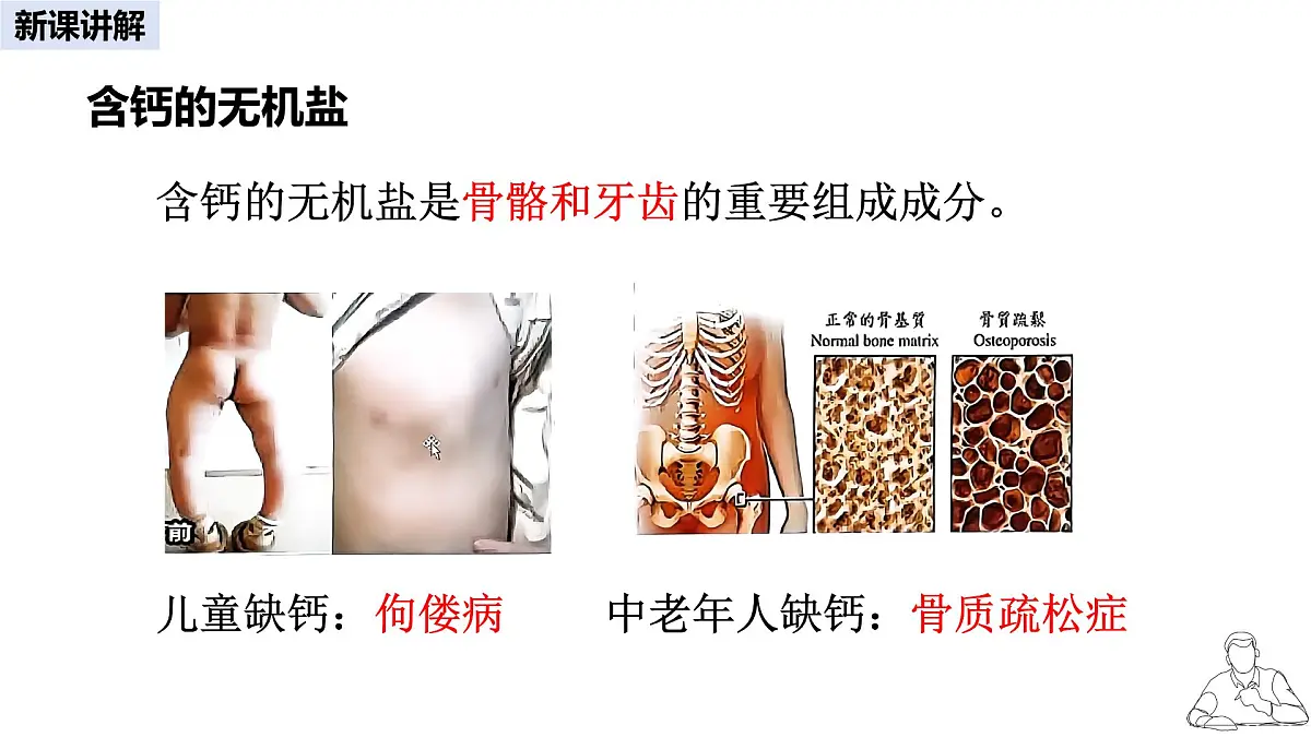 2024-2025学年人教版生物七年级下册 4.2.1 食物中的营养物质 第二课时 课件第4页