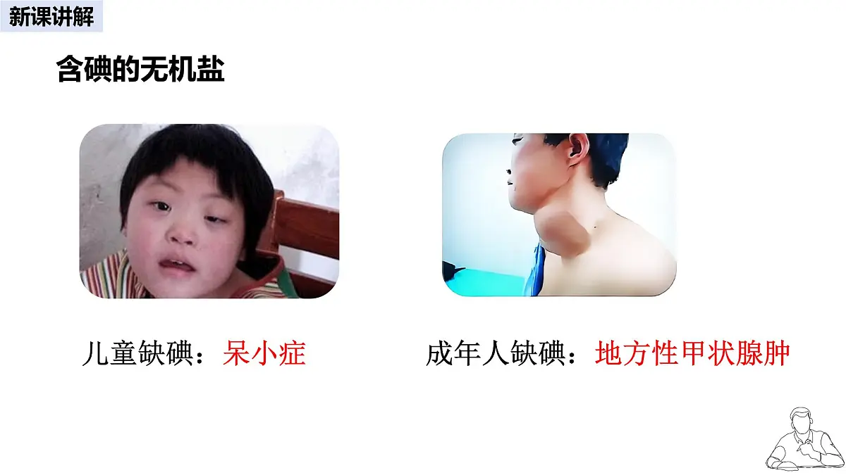 2024-2025学年人教版生物七年级下册 4.2.1 食物中的营养物质 第二课时 课件第6页