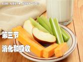2024-2025學年人教版生物七年級下冊 4.2.3 合理營養(yǎng)與食品安全 (2) 課件