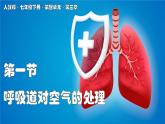 2024-2025學(xué)年人教版生物七年級(jí)下冊(cè) 4.3.1 呼吸道對(duì)空氣的處理 (2) 課件