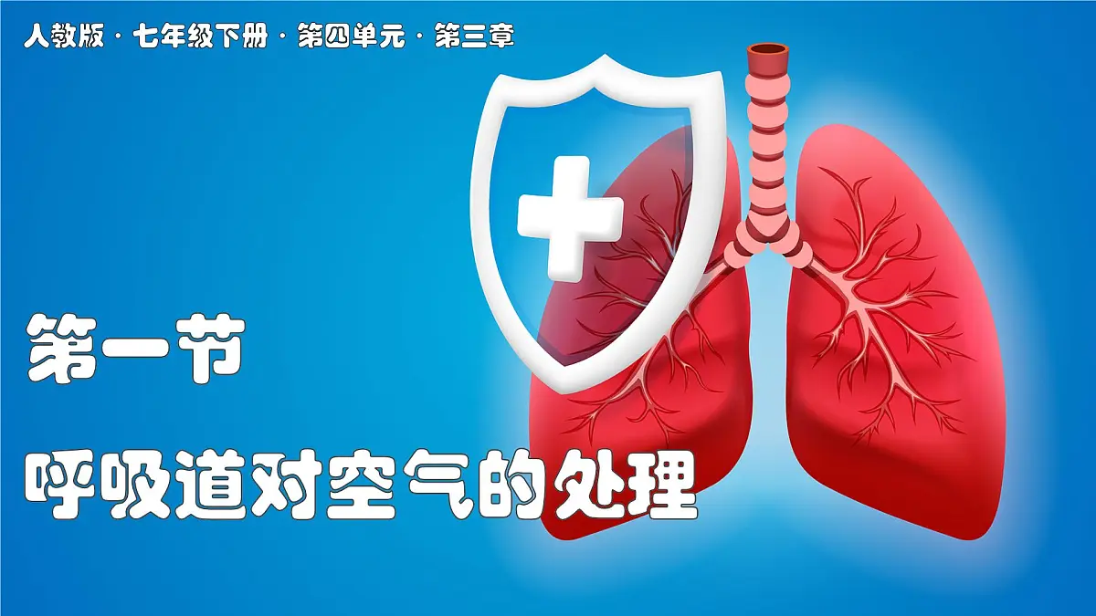 2024-2025学年人教版生物七年级下册 4.3.1 呼吸道对空气的处理 (2) 课件第1页
