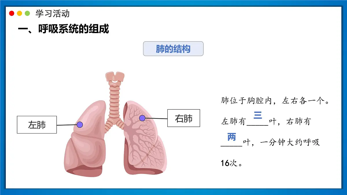 2024-2025学年人教版生物七年级下册 4.3.1 呼吸道对空气的处理 (2) 课件第5页