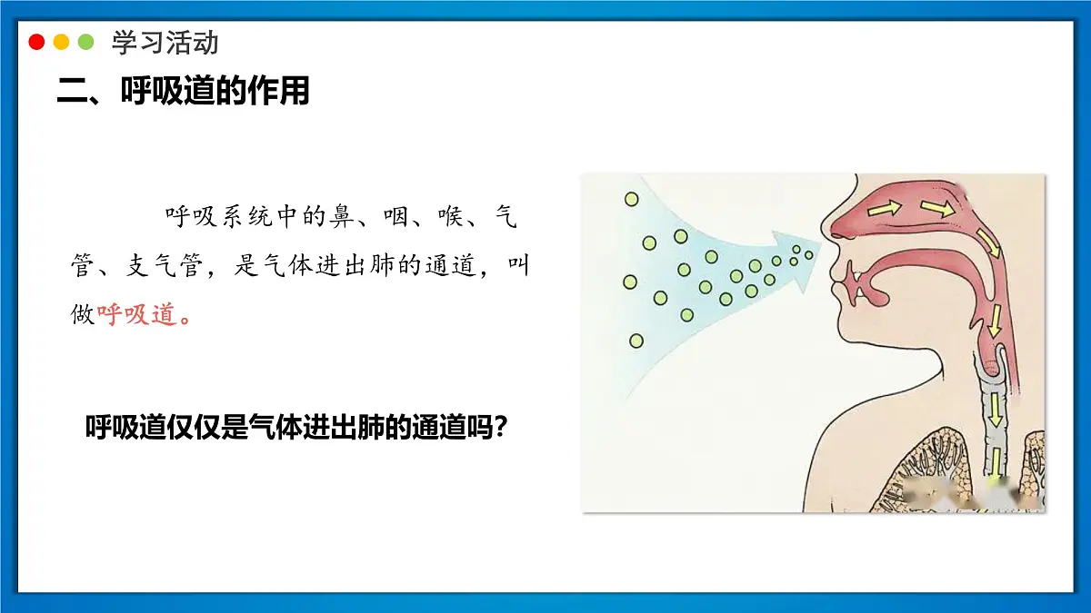 2024-2025学年人教版生物七年级下册 4.3.1 呼吸道对空气的处理 (2) 课件第6页