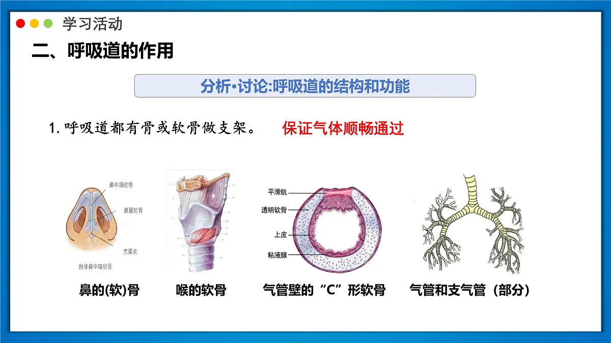 2024-2025学年人教版生物七年级下册 4.3.1 呼吸道对空气的处理 (2) 课件第7页