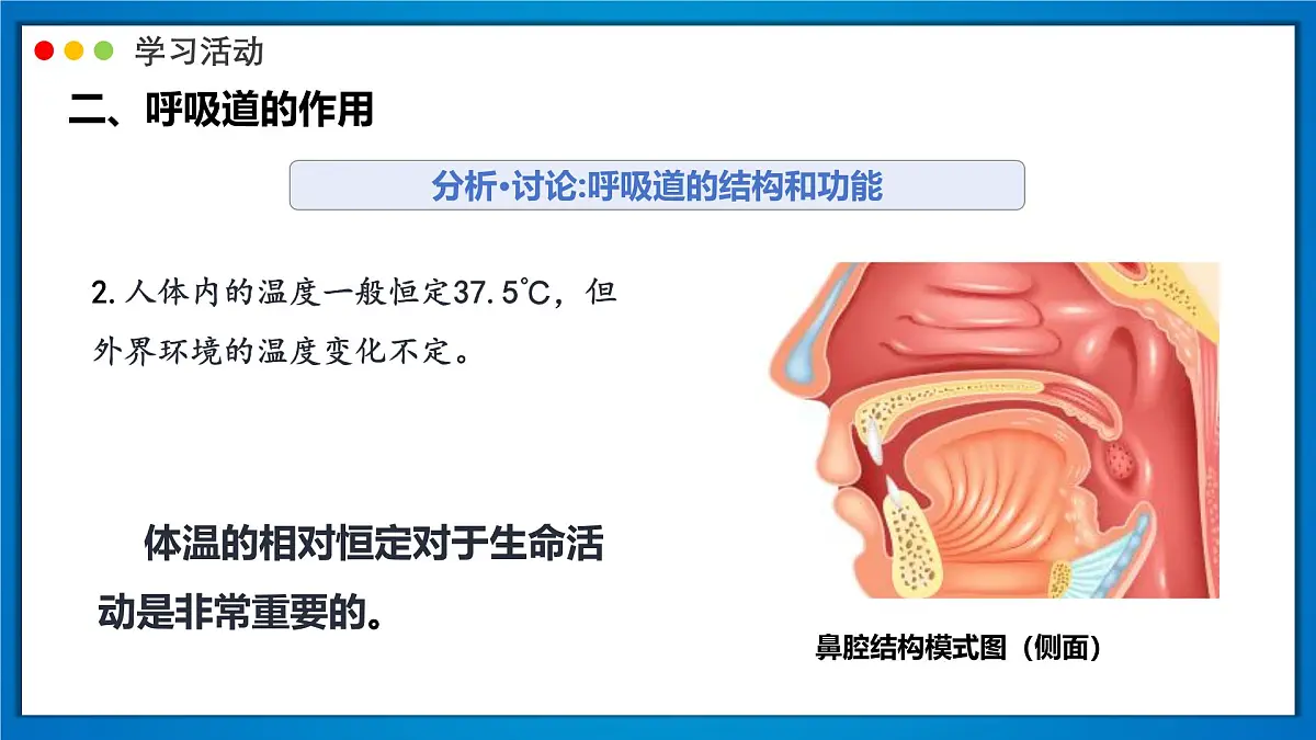 2024-2025学年人教版生物七年级下册 4.3.1 呼吸道对空气的处理 (2) 课件第8页